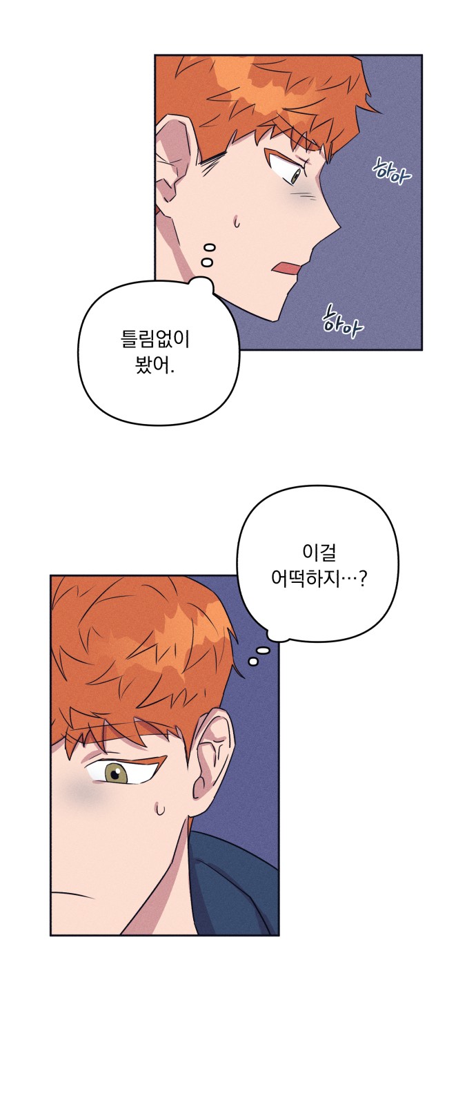 15 페이지