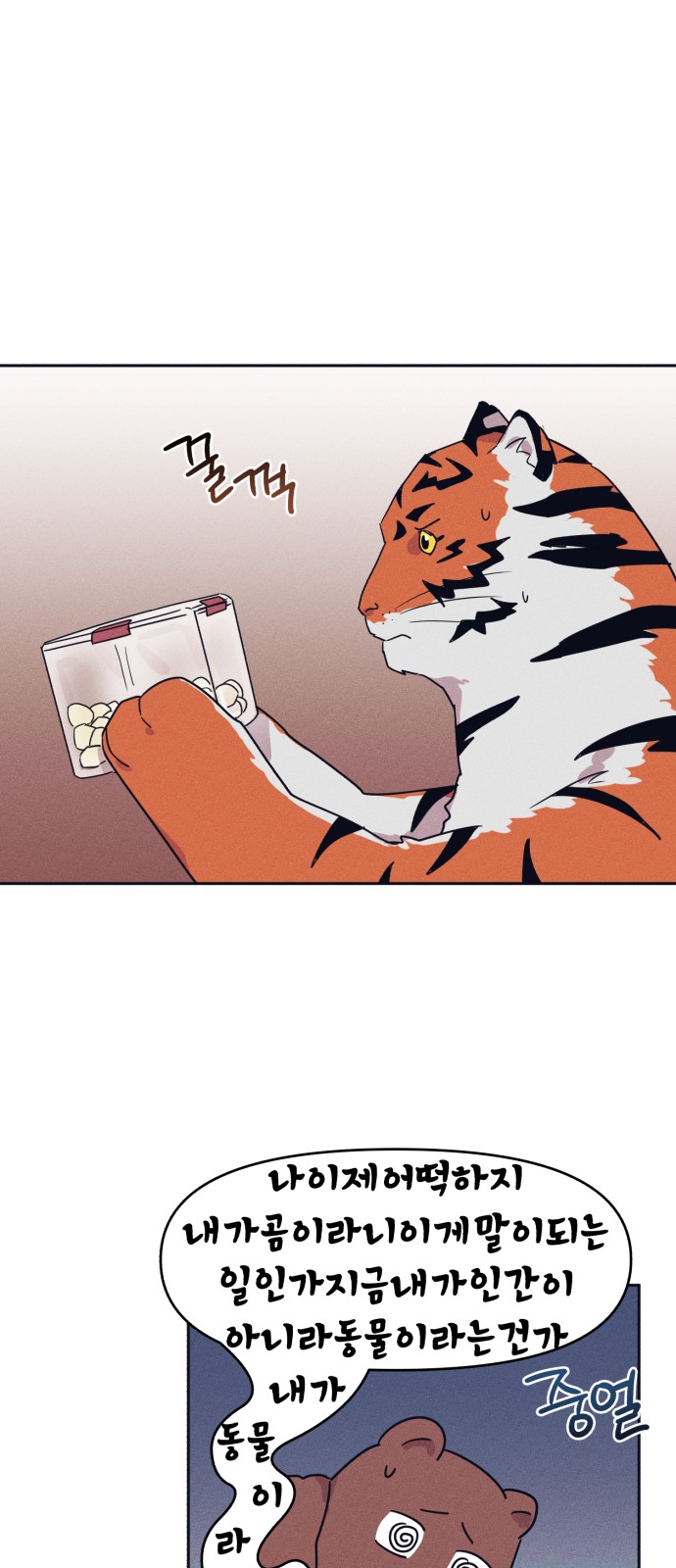 14 페이지