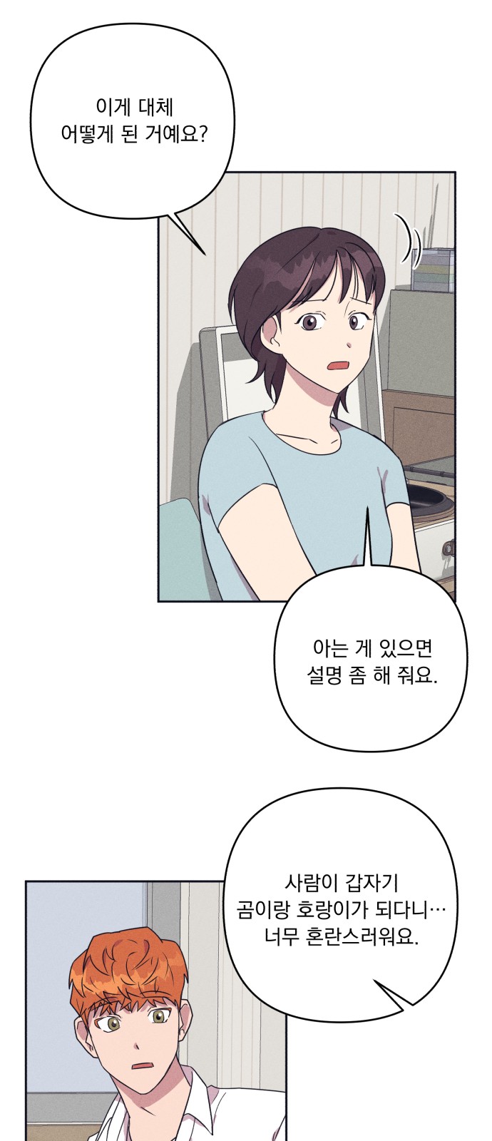 26 페이지