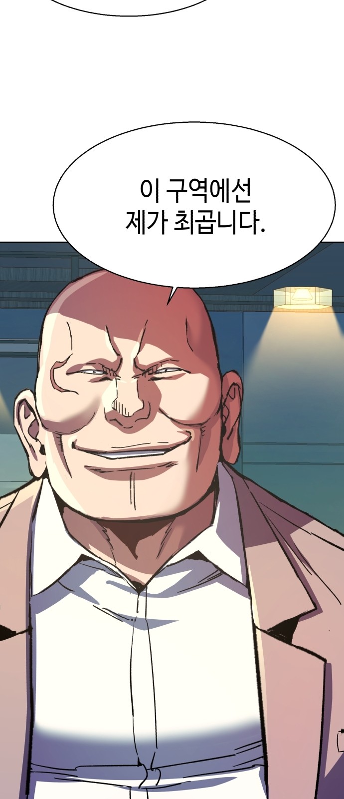 20 페이지