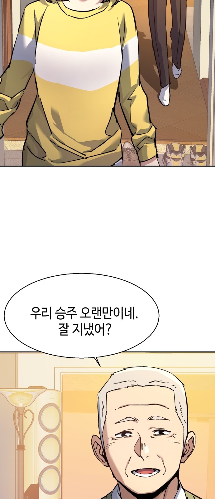 52 페이지