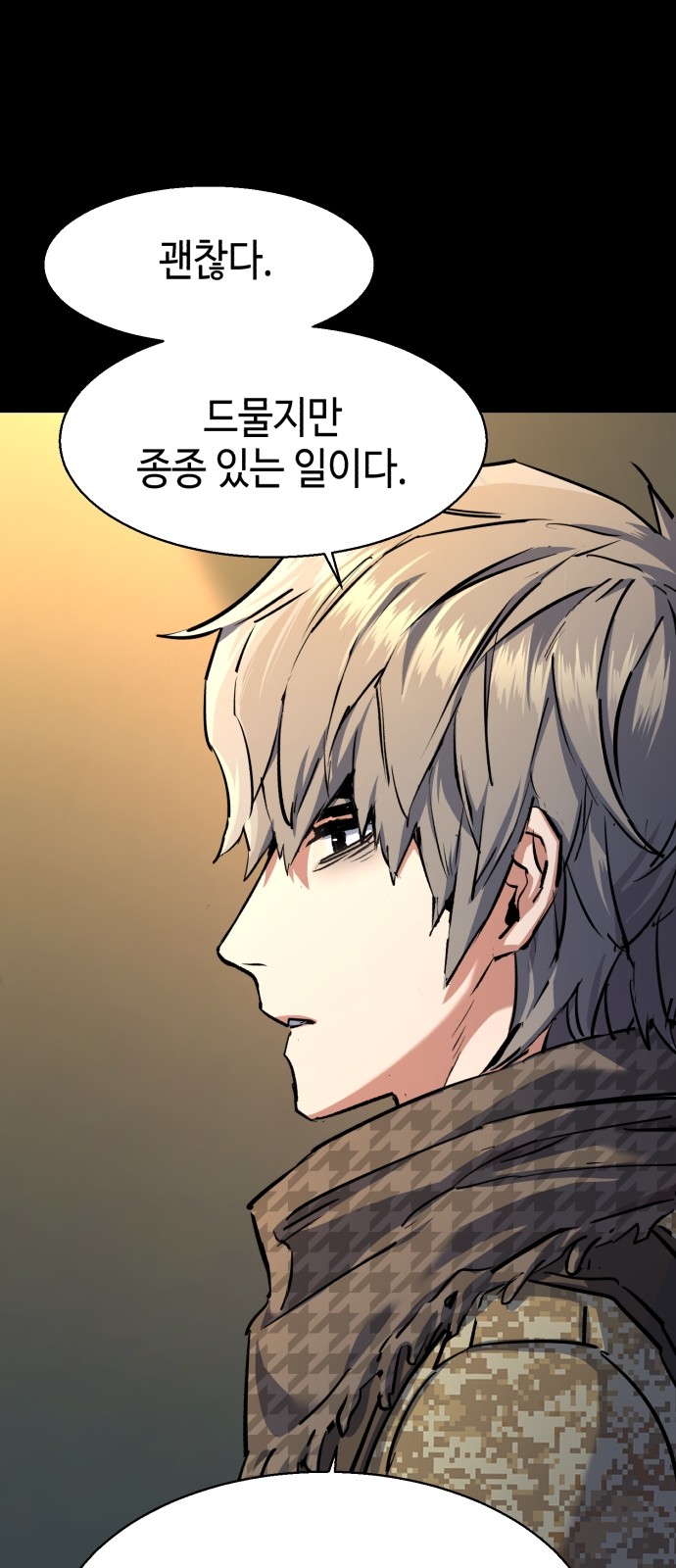 71 페이지