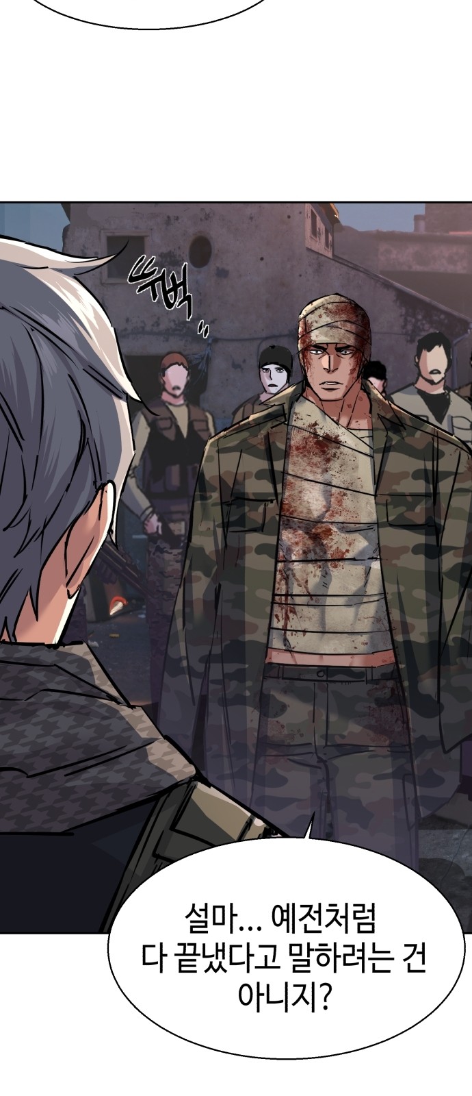 33 페이지