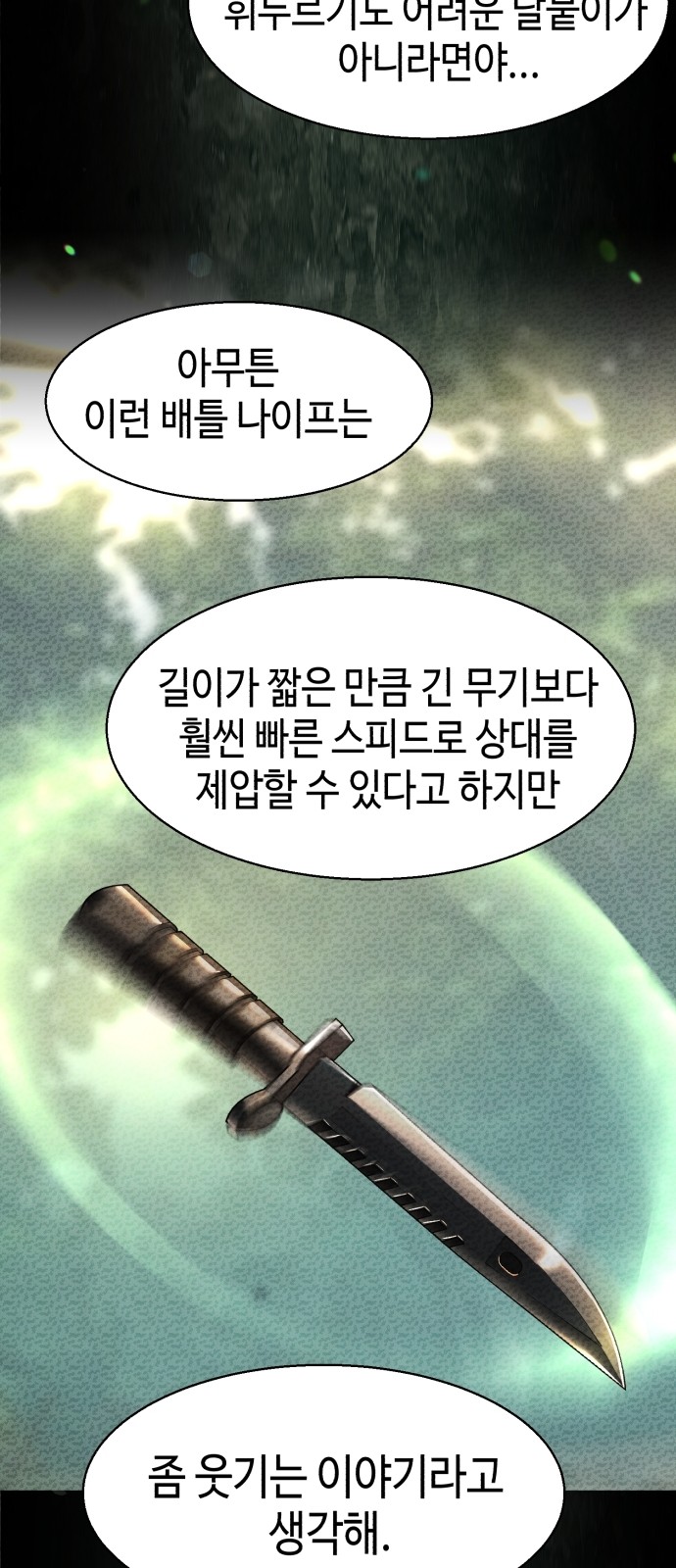 48 페이지