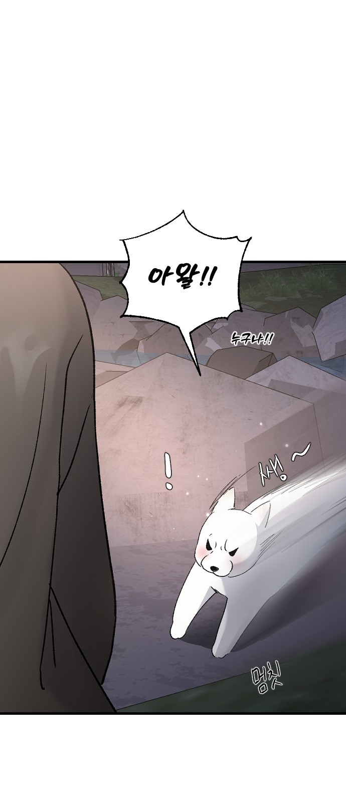 11 페이지