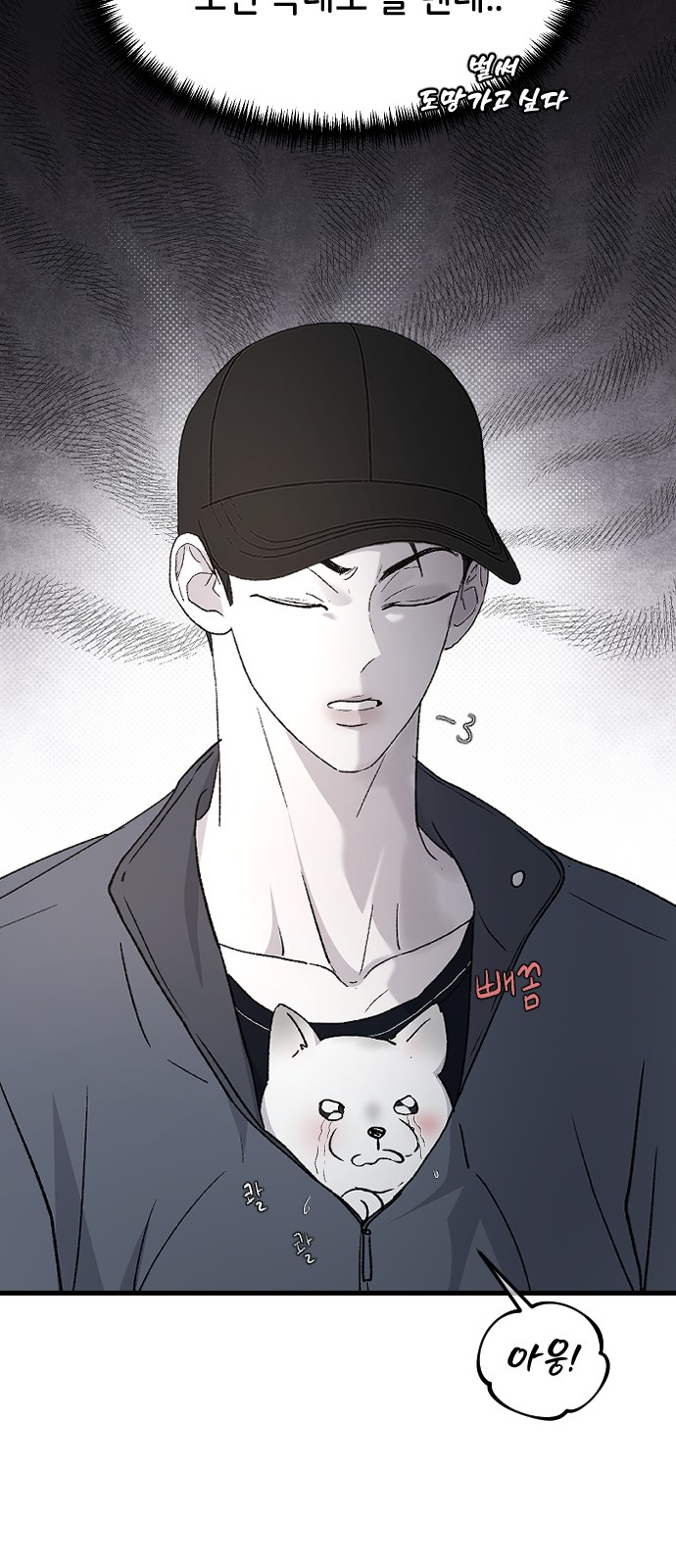 62 페이지