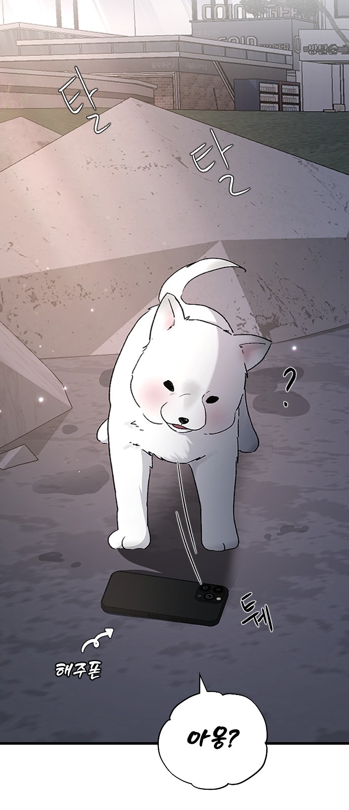 8 페이지