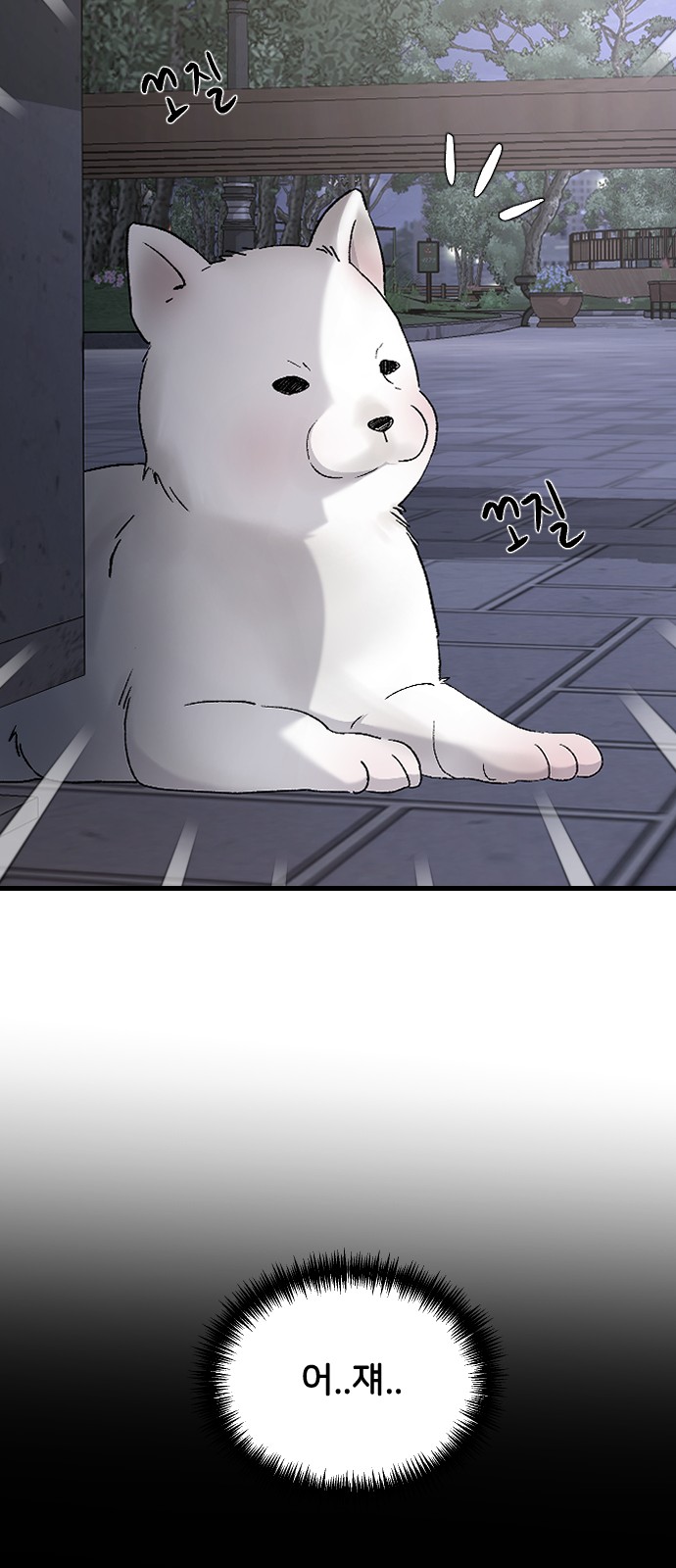 41 페이지