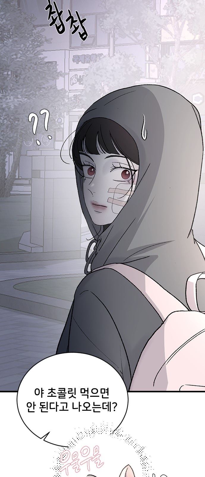 51 페이지