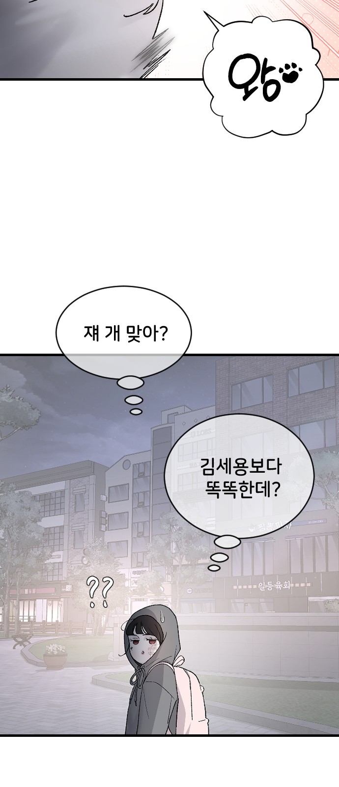 54 페이지