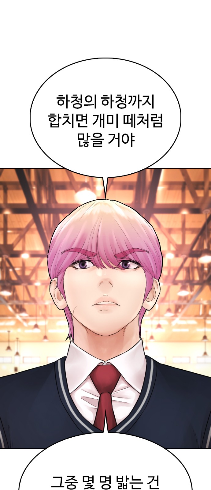 30 페이지