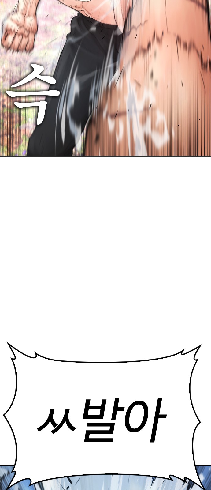110 페이지