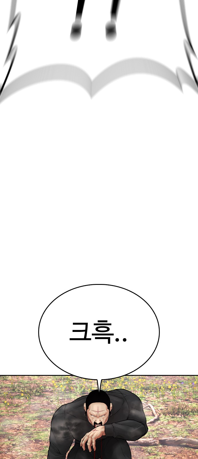 146 페이지