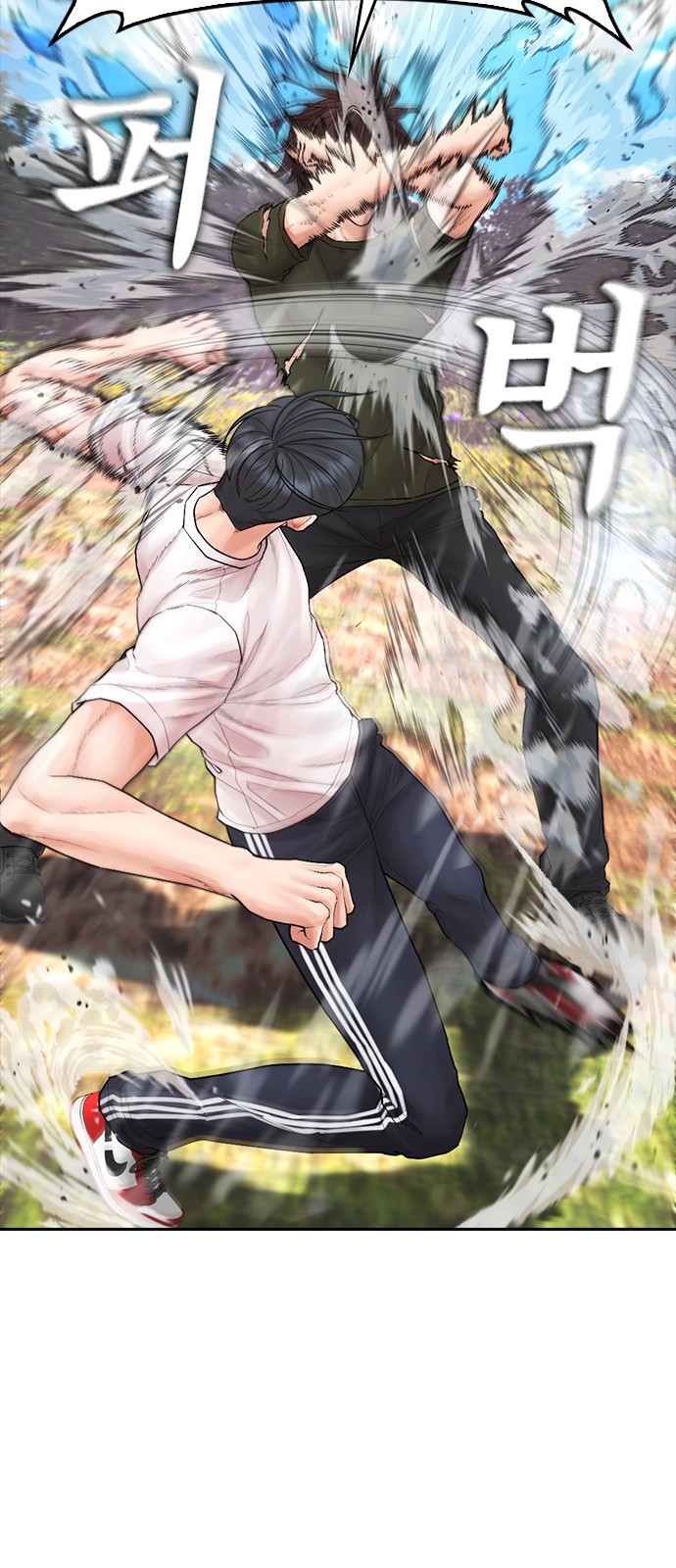 66 페이지
