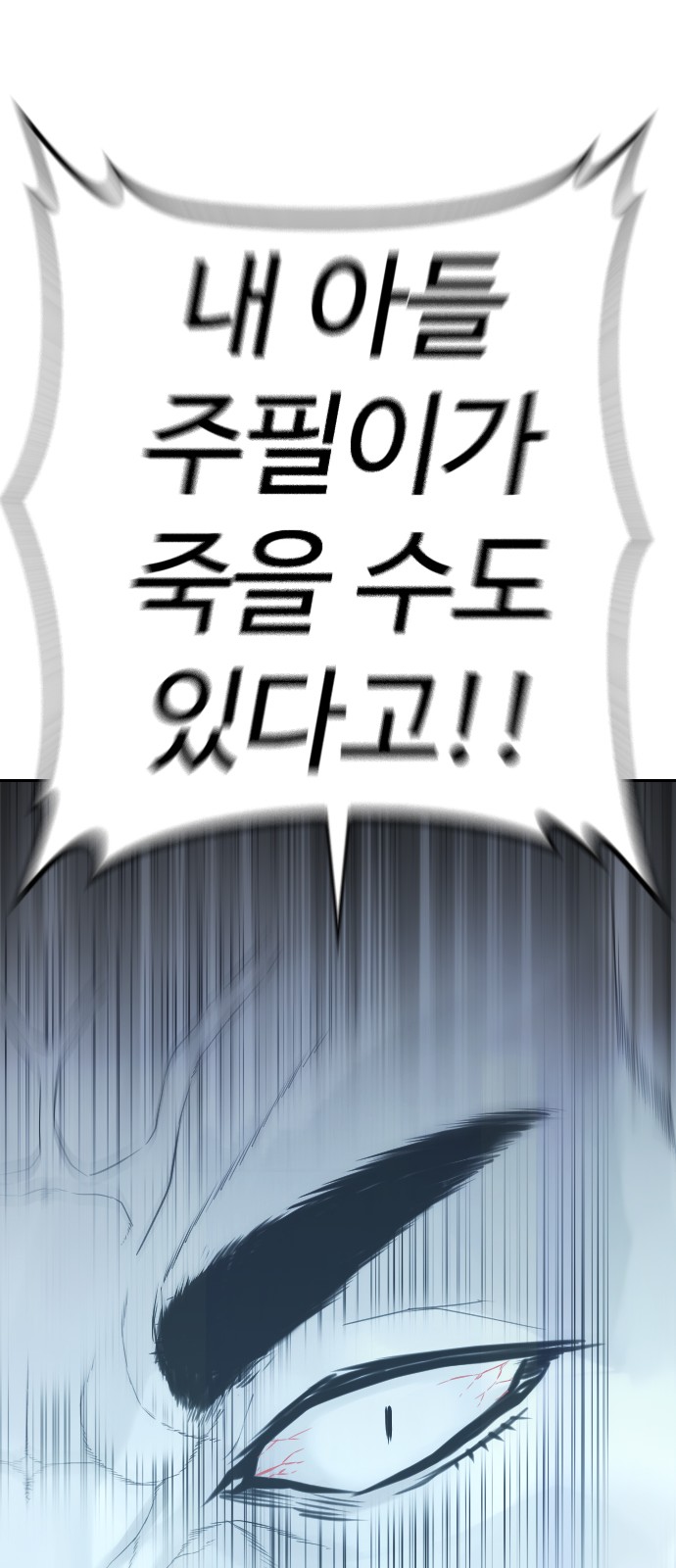 110 페이지
