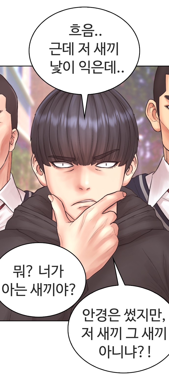 31 페이지