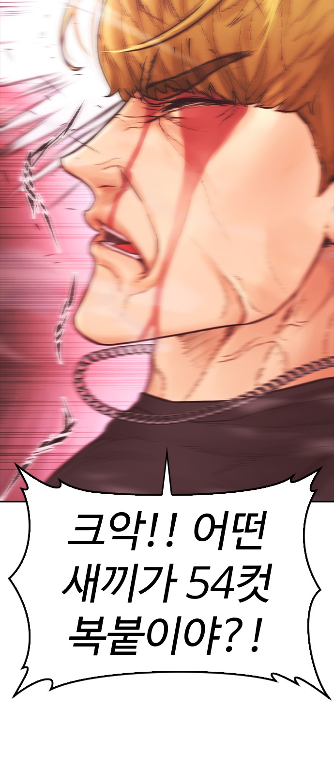 97 페이지