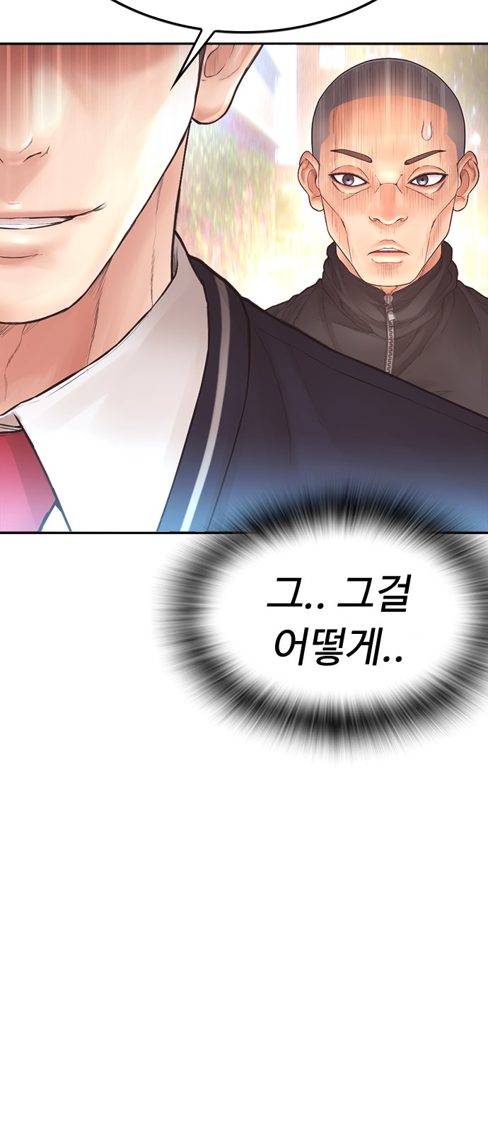 113 페이지
