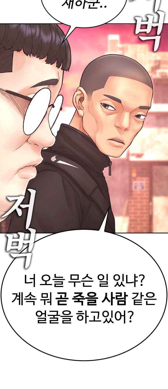 113 페이지