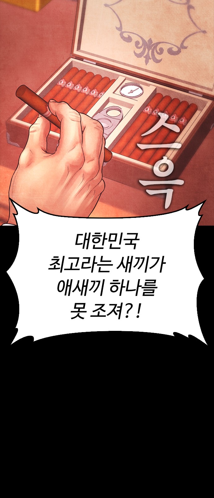 113 페이지