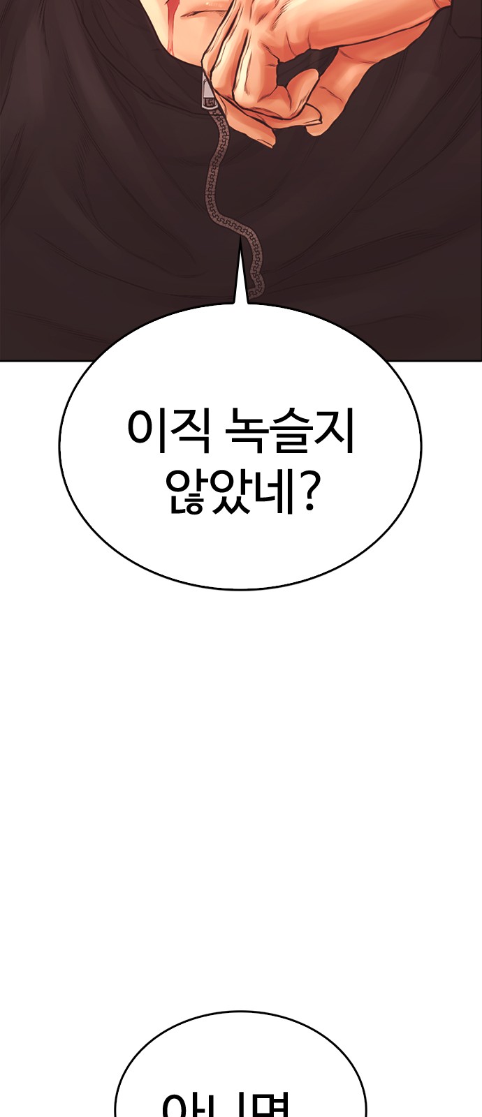 33 페이지