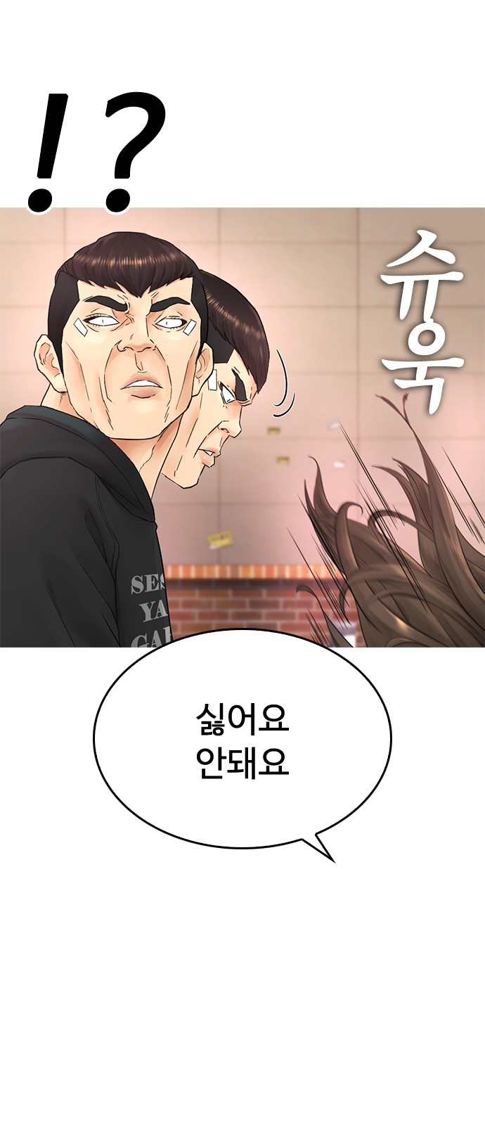46 페이지