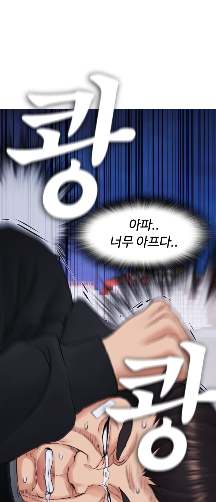 30 페이지