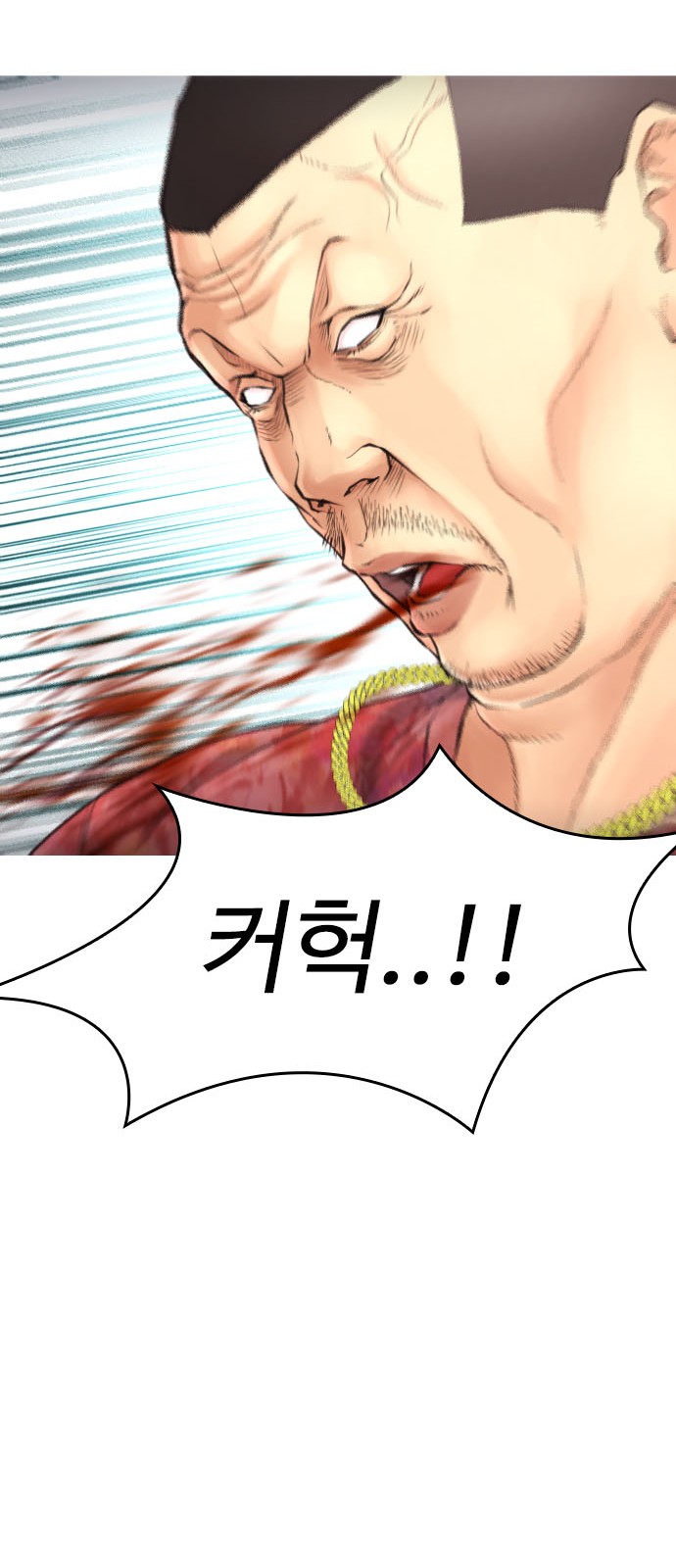69 페이지