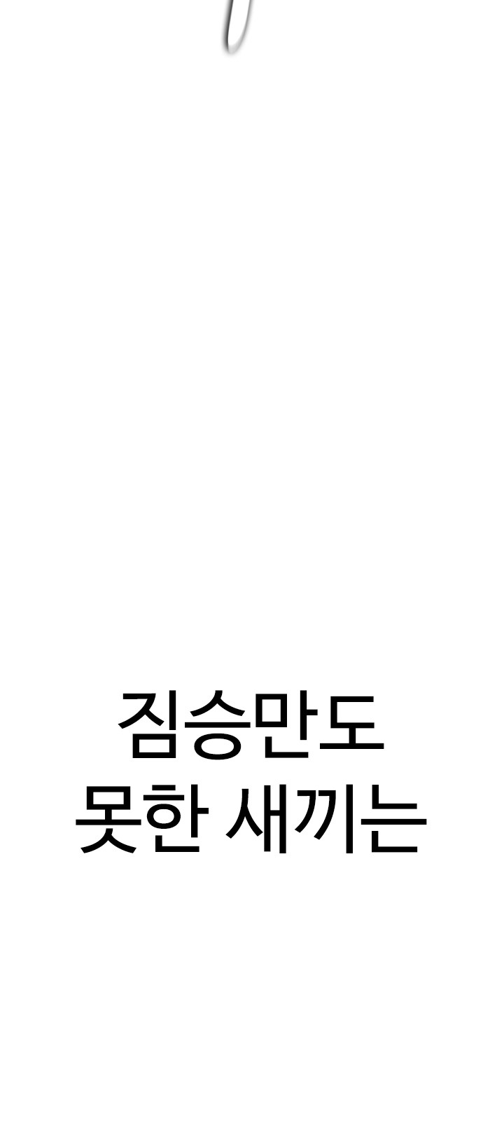 100 페이지