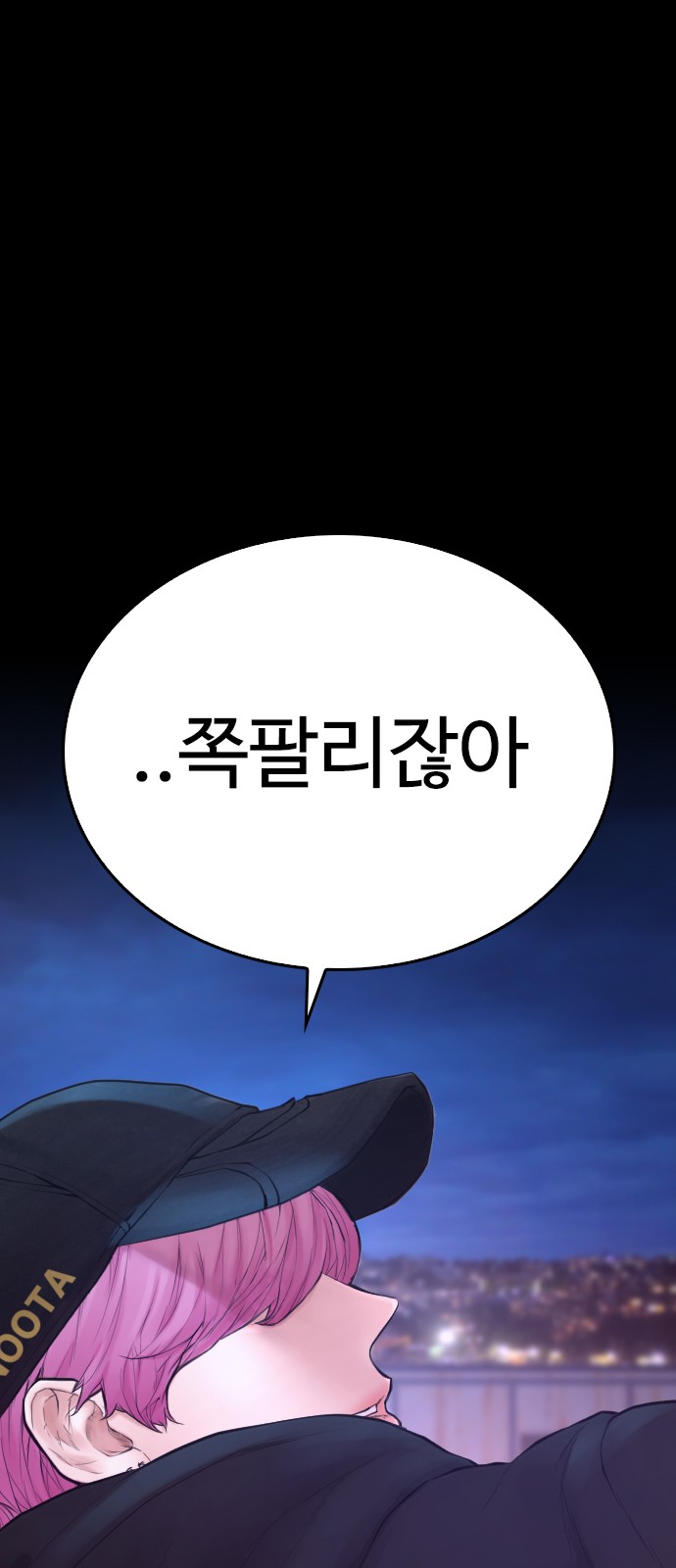 113 페이지
