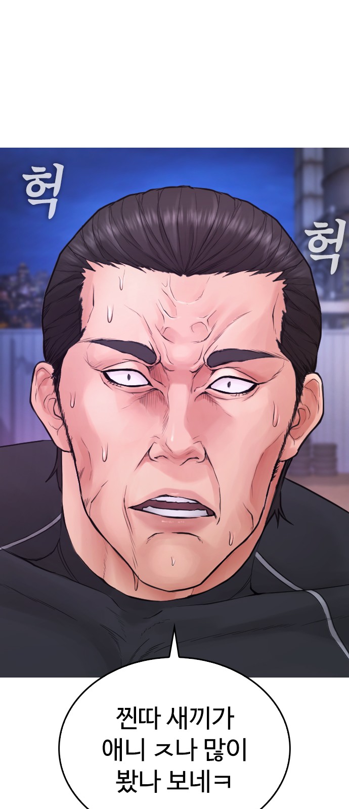 30 페이지