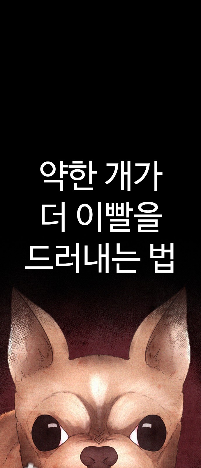 86 페이지