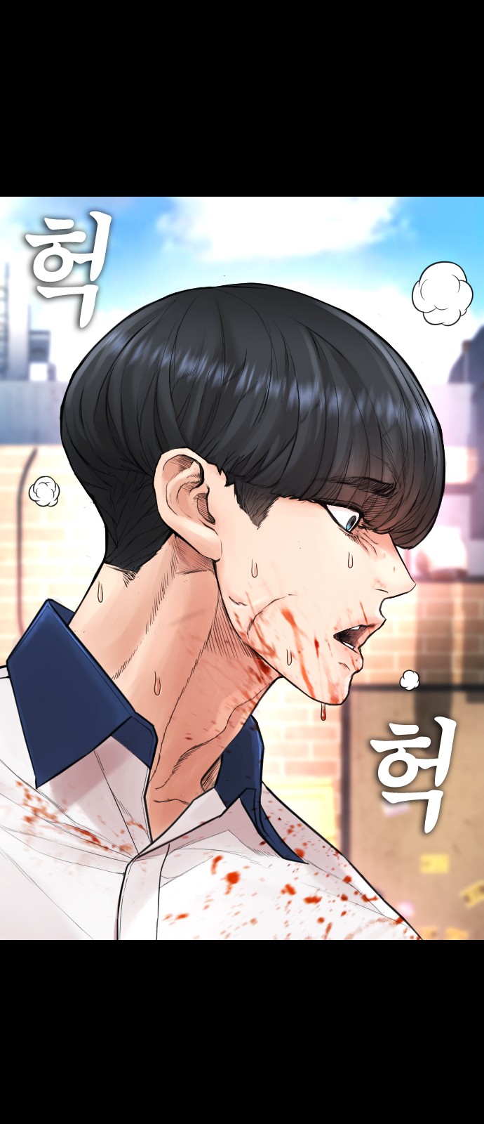 15 페이지