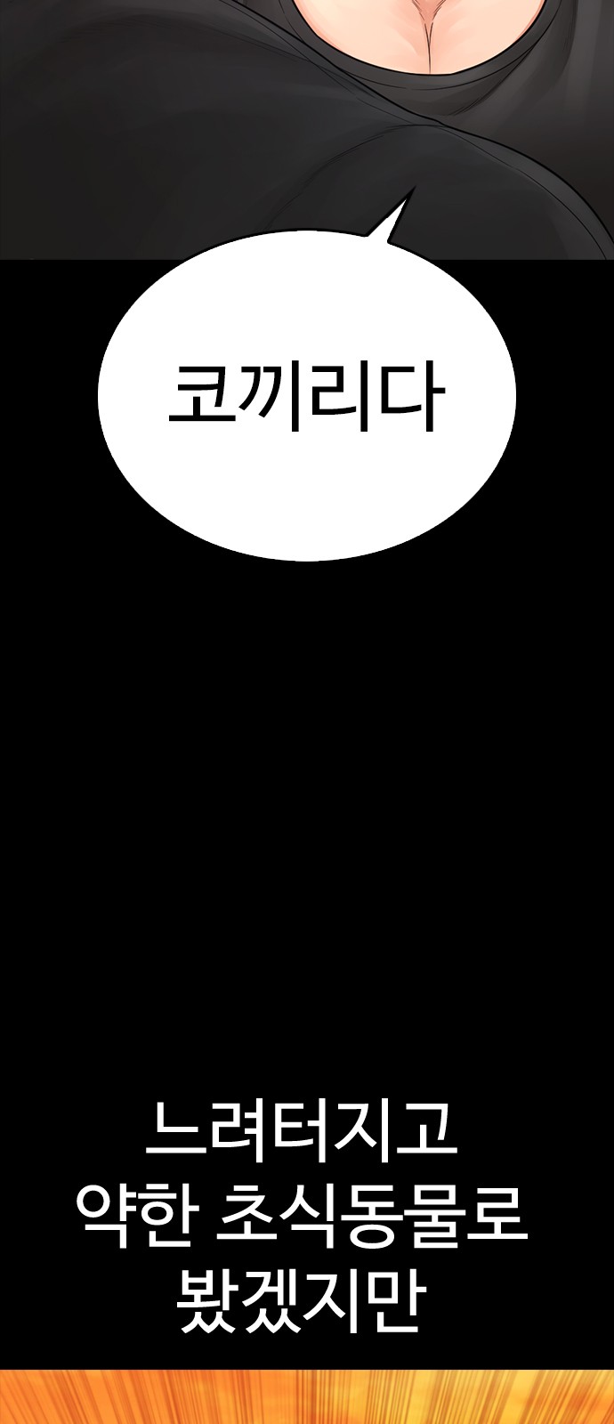 69 페이지