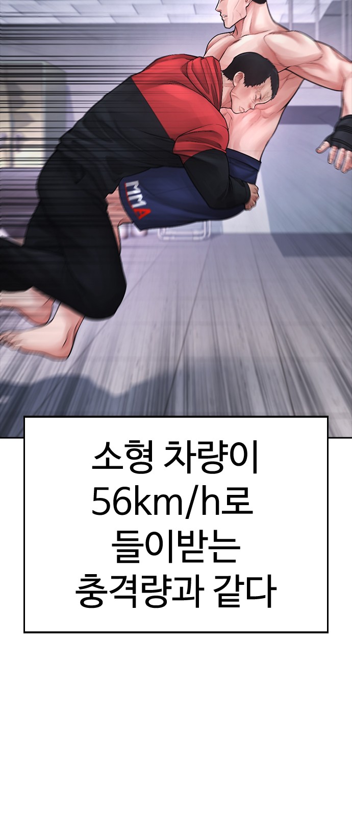 61 페이지