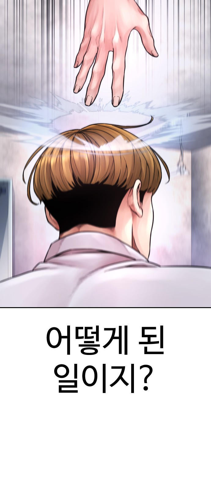 66 페이지