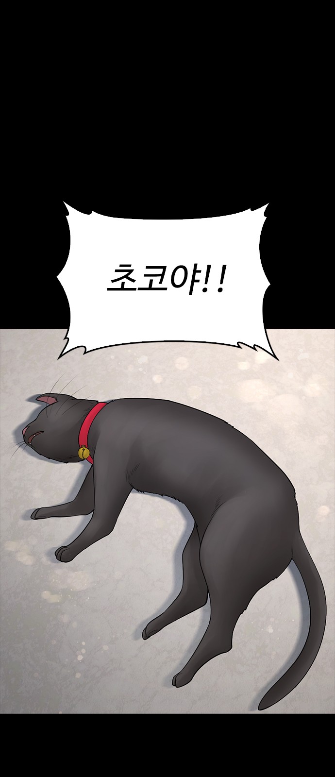 46 페이지