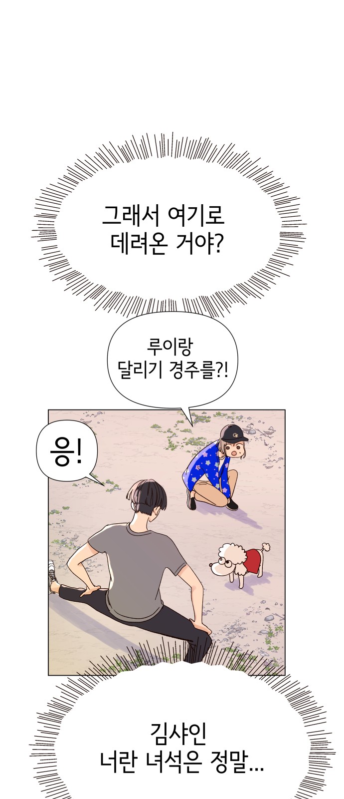 14 페이지