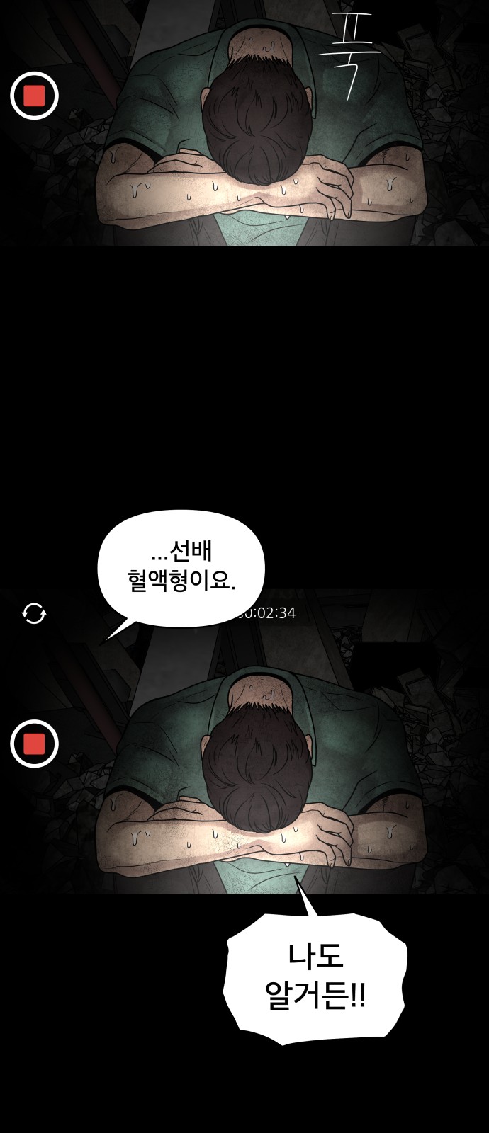 17 페이지