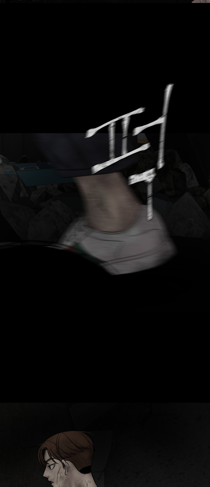 50 페이지