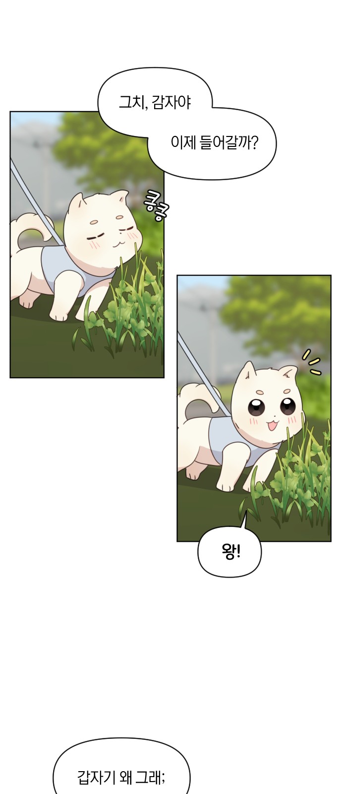 37 페이지