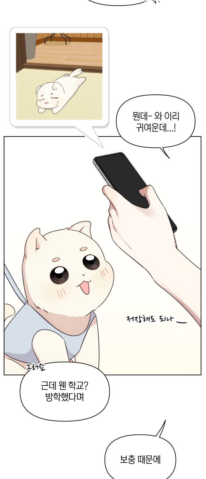 41 페이지