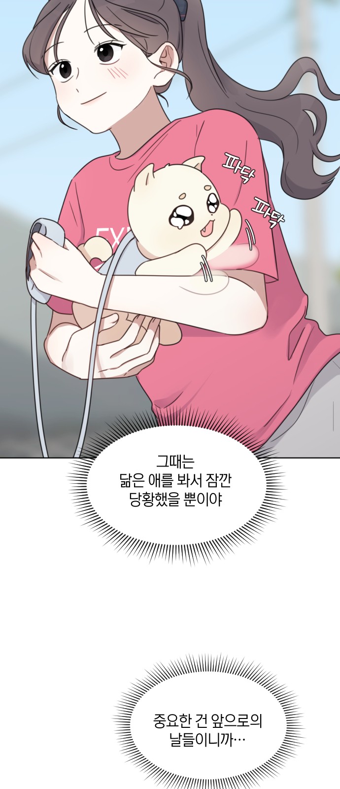 46 페이지