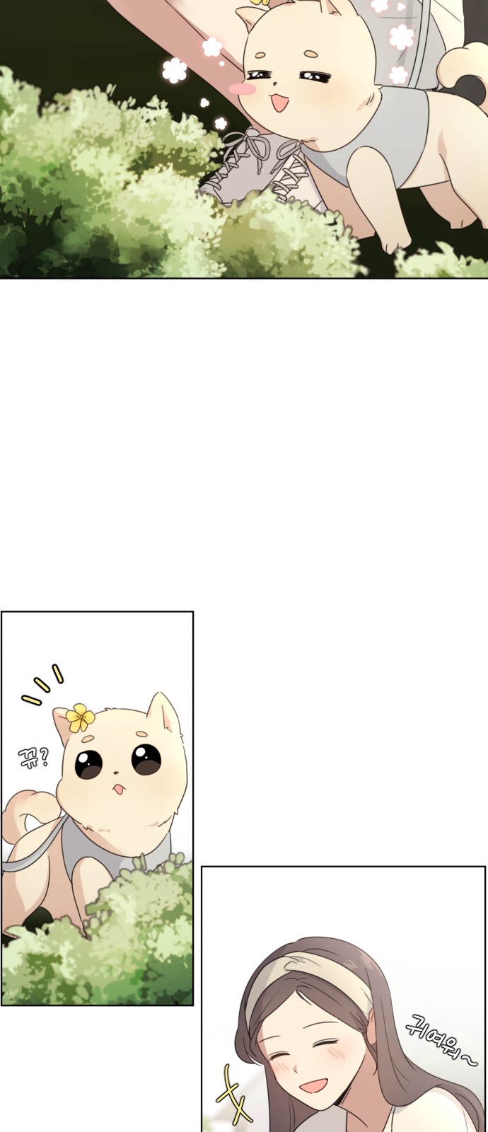40 페이지