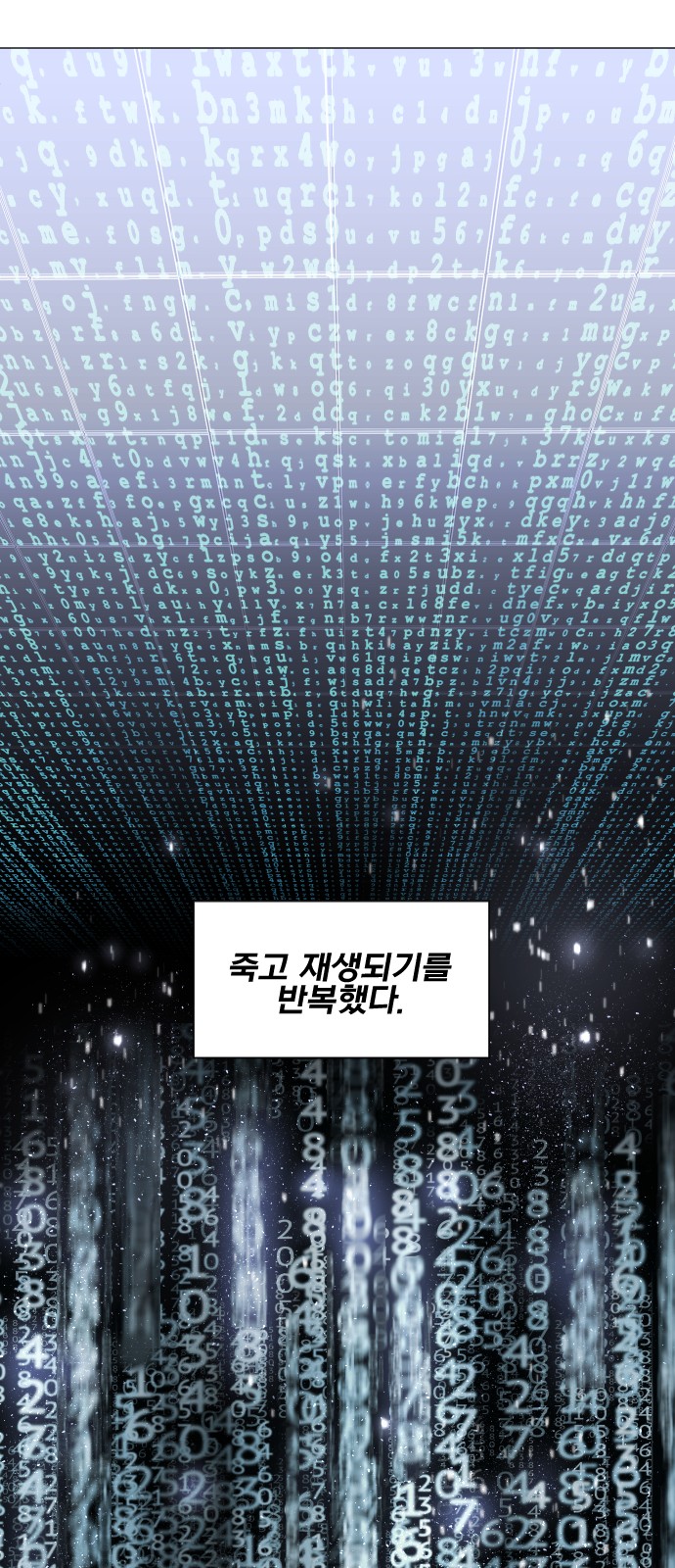 137 페이지