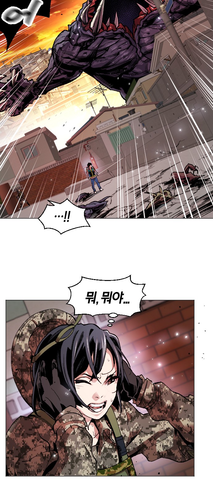 50 페이지