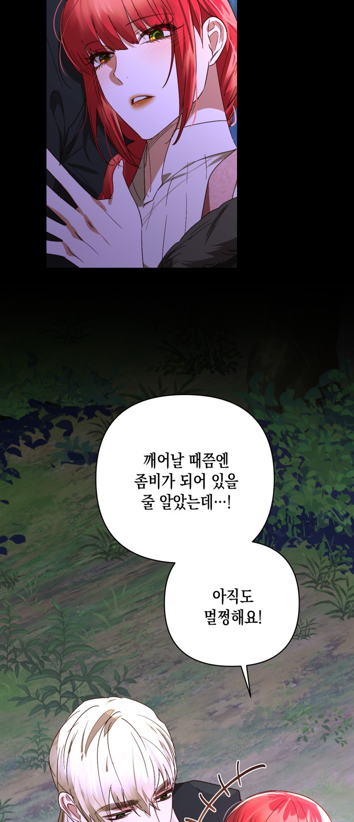 52 페이지
