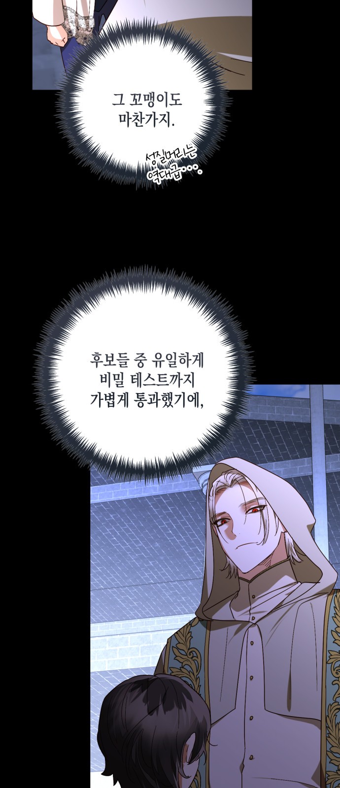31 페이지