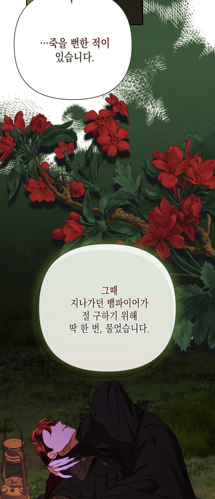52 페이지
