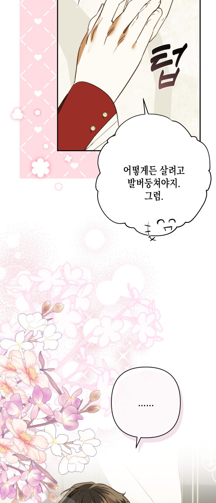 66 페이지
